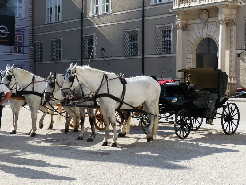 Salzburg-Old-Town-Carriage
